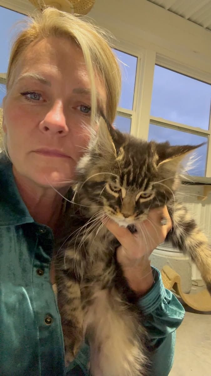 Happy Maine Coon Family